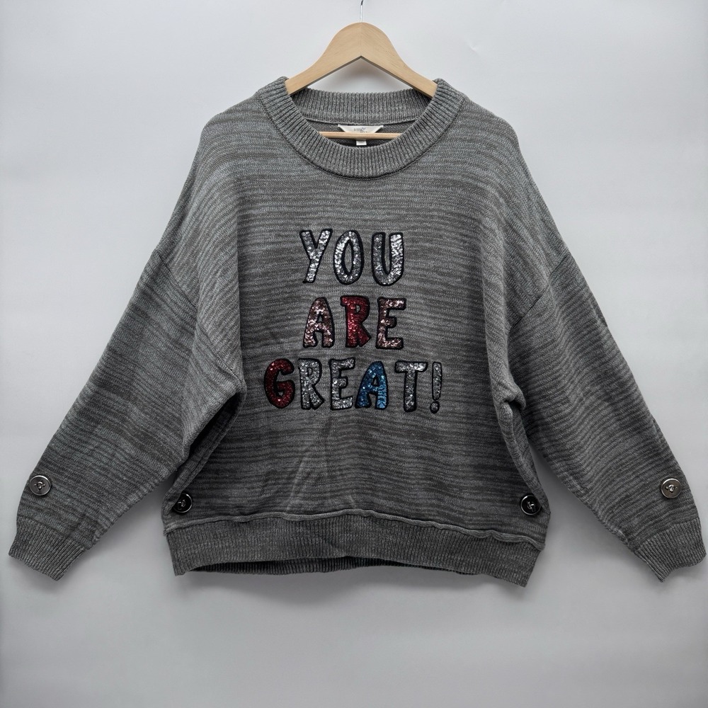 Terra & Sky Sequin Sweater 2X Gray Knit You Are Great Graphic Pullover 20W-22W